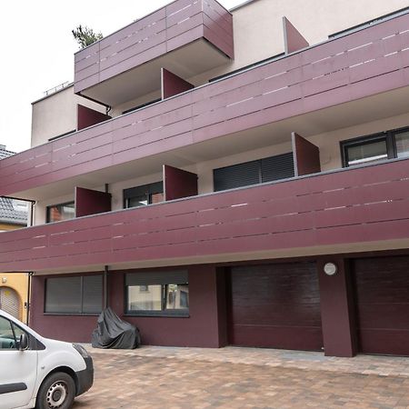 Apartmenthaus Schlossgasse 네카줄름 외부 사진
